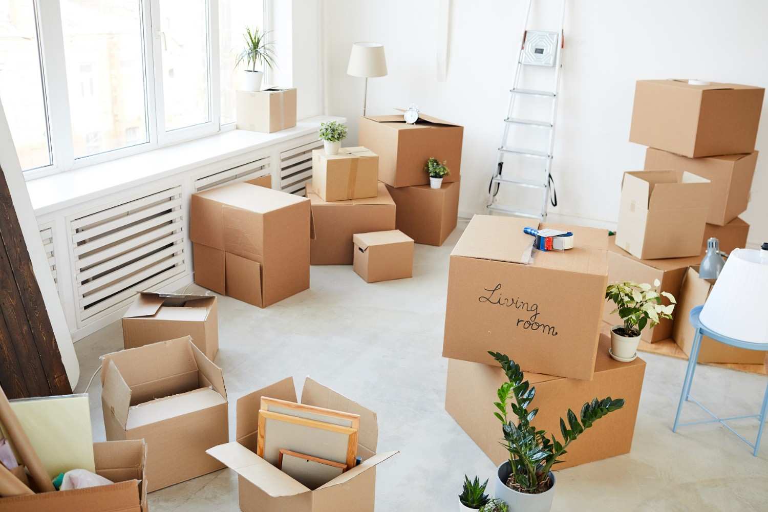 Move-In & Move-Out Cleaning